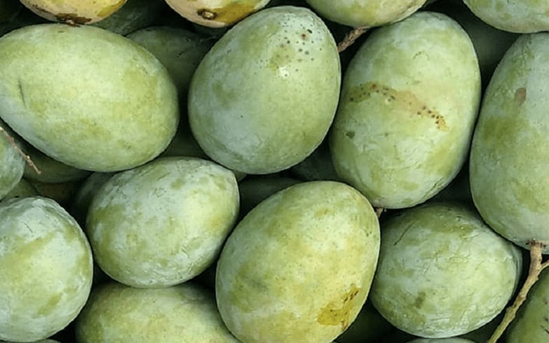 ল্যাংড়া